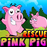Games4King Cute Pink Pig Rescue Walkthrough